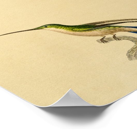  1830 Hummingbird Print Green Blue (Hoek)