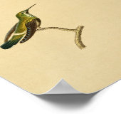  1830 Hummingbird Print Green Oranje (Hoek)