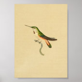  1830 Hummingbird Print Green Oranje (Voorkant)
