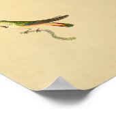 1830 Hummingbird Print Green Oranje (Hoek)