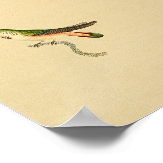  1830 Hummingbird Print Green Oranje (Hoek)