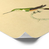 1830 Hummingbird Print Green Oranje (Hoek)