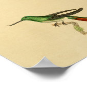  1830 Hummingbird Print Green Red (Hoek)