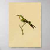  1830 Hummingbird Print Green Red (Voorkant)