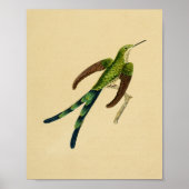  1830 Hummingbird Print Green Red (Voorkant)