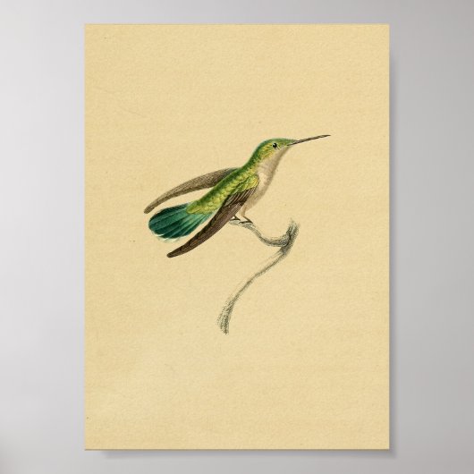  1830 Hummingbird Print Green Yellow (Voorkant)