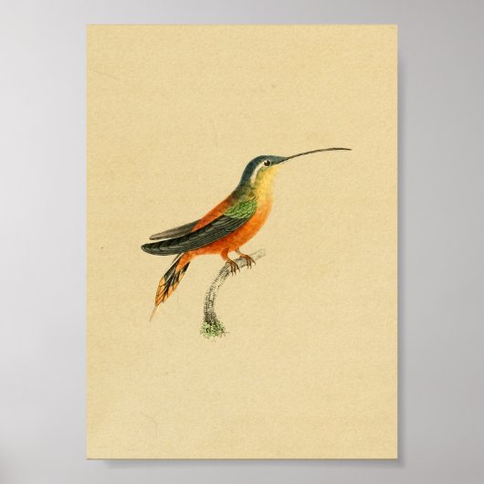 1830 Hummingbird Print Oranje Yellow (Voorkant)