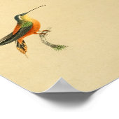 1830 Hummingbird Print Oranje Yellow (Hoek)