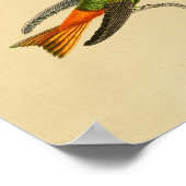  1830 Hummingbird Print Red Blue (Hoek)