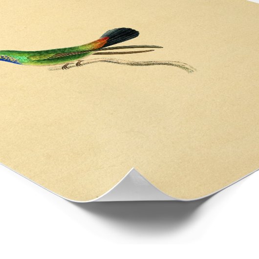 1830 Hummingbird Print Red Green (Hoek)