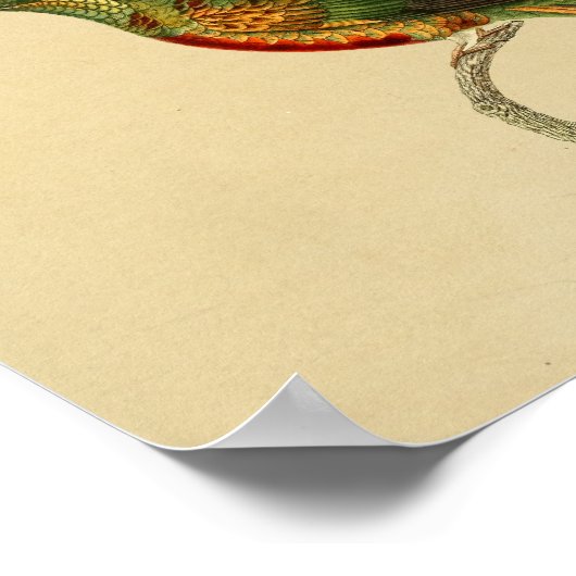 1830 Hummingbird Print Red Green (Hoek)