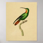  1830 Hummingbird Print Red Green (Voorkant)
