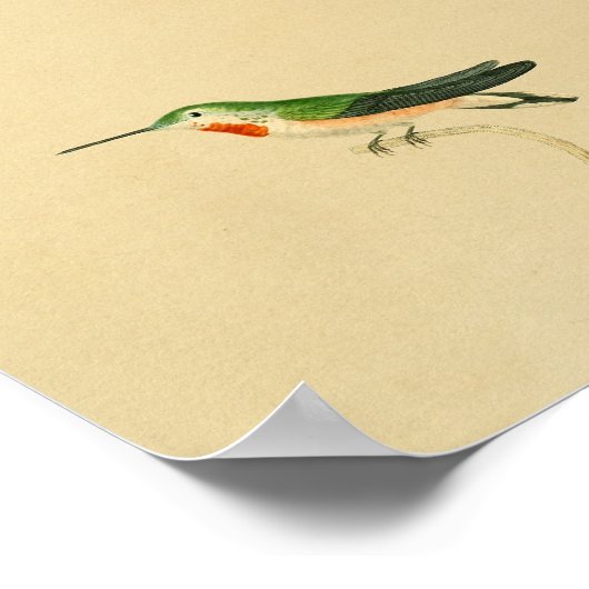  1830 Hummingbird Print Red Green (Hoek)