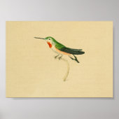  1830 Hummingbird Print Red Green (Voorkant)