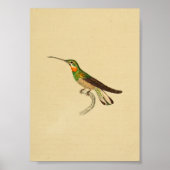  1830 Hummingbird Print Red Green (Voorkant)