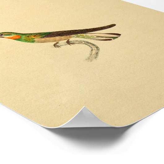  1830 Hummingbird Print Red Green (Hoek)