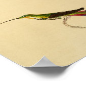  1830 Hummingbird Print Red Green (Hoek)