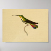  1830 Hummingbird Print Red Green (Voorkant)