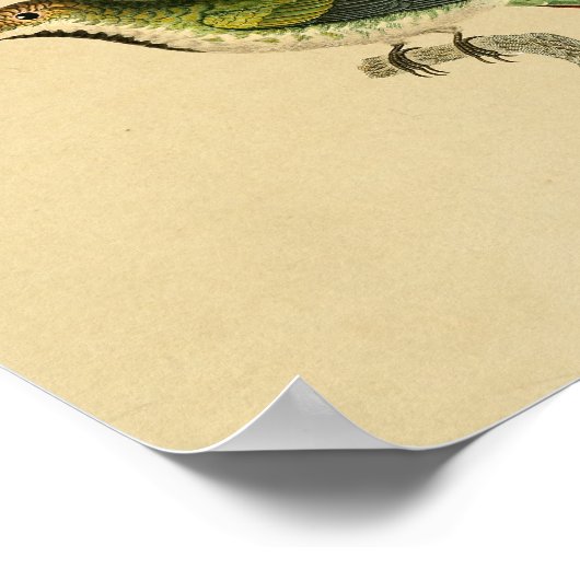  1830 Hummingbird Print Red Green (Hoek)