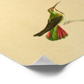  1830 Hummingbird Print Red Green (Hoek)