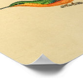  1830 Hummingbird Print Red Green (Hoek)