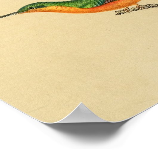  1830 Hummingbird Print Red Green (Hoek)