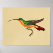  1830 Hummingbird Print Red Green (Voorkant)
