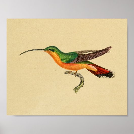  1830 Hummingbird Print Red Green (Voorkant)