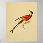  1830 Hummingbird Print Red Green (Voorkant)