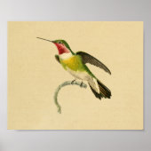 1830 Hummingbird Print Red Green (Voorkant)
