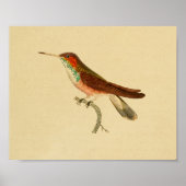 1830 Hummingbird Print Red Green (Voorkant)