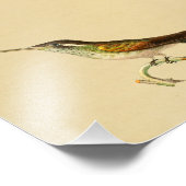  1830 Hummingbird Print Red Green Foto Afdruk (Hoek)