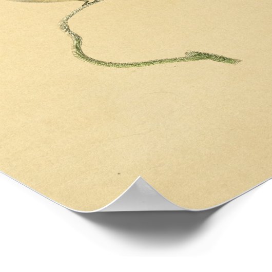  1830 Hummingbird Print Red Paars (Hoek)