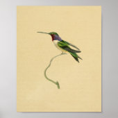  1830 Hummingbird Print Red Paars (Voorkant)