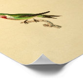  1830 Hummingbird Print Ruby Throated (Hoek)