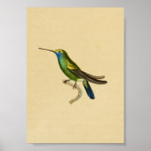 1830 Hummingbird Print Yellow Blue (Voorkant)
