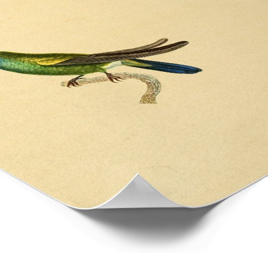 1830 Hummingbird Print Yellow Blue (Hoek)