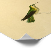  1830 Hummingbird Print Yellow Green (Hoek)