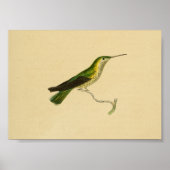  1830 Hummingbird Print Yellow Green (Voorkant)