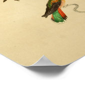 1830 Hummingvogels afdrukken rood groen Poster (Hoek)