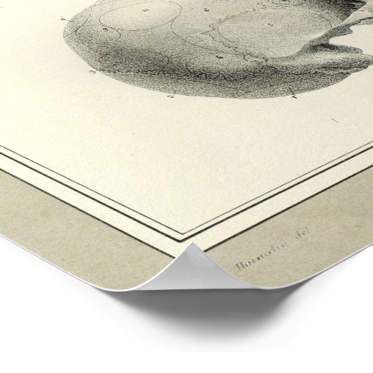  1831 Anatomie menselijke schedel Afdrukken Poster (Hoek)