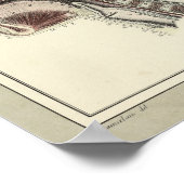 1831 Anatomie schedelrug Poster (Hoek)