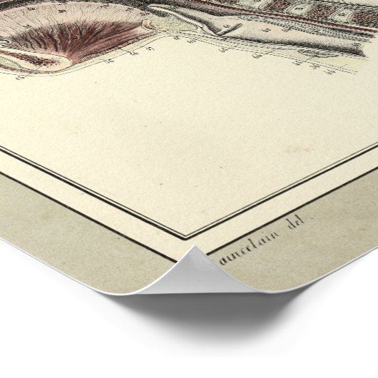  1831 Anatomie schedelrug Poster (Hoek)