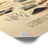  1831 champignonvariëteit Groene Gele Druk Poster (Hoek)