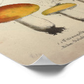  1831 champignonvariëteit Groene Gele Druk Poster (Hoek)