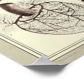 1831 Hart Arteries Anatomy Print (Hoek)