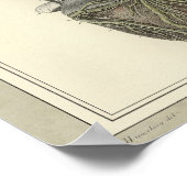 1831 Heart Anatomy Print (Hoek)