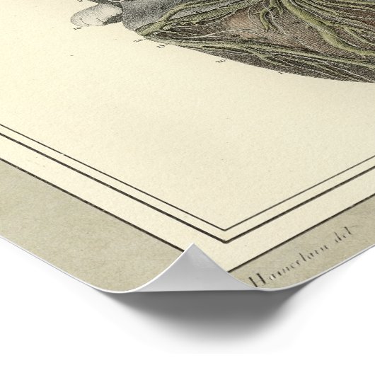 1831 Heart Anatomy Print (Hoek)