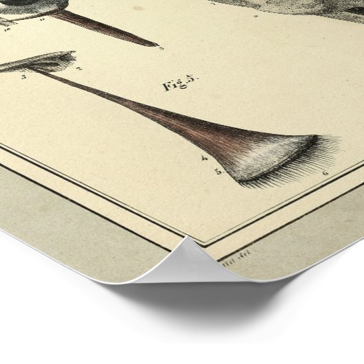  1831 Oogspieren Anatomie Afdrukken Poster (Hoek)