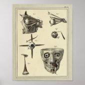  1831 Oogspieren Anatomie Afdrukken Poster (Voorkant)